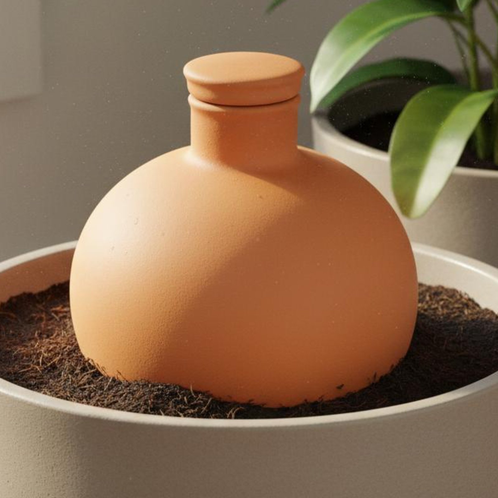 Terracotta Pot - 2 Buah Pot Tanam Terakota Olla,
