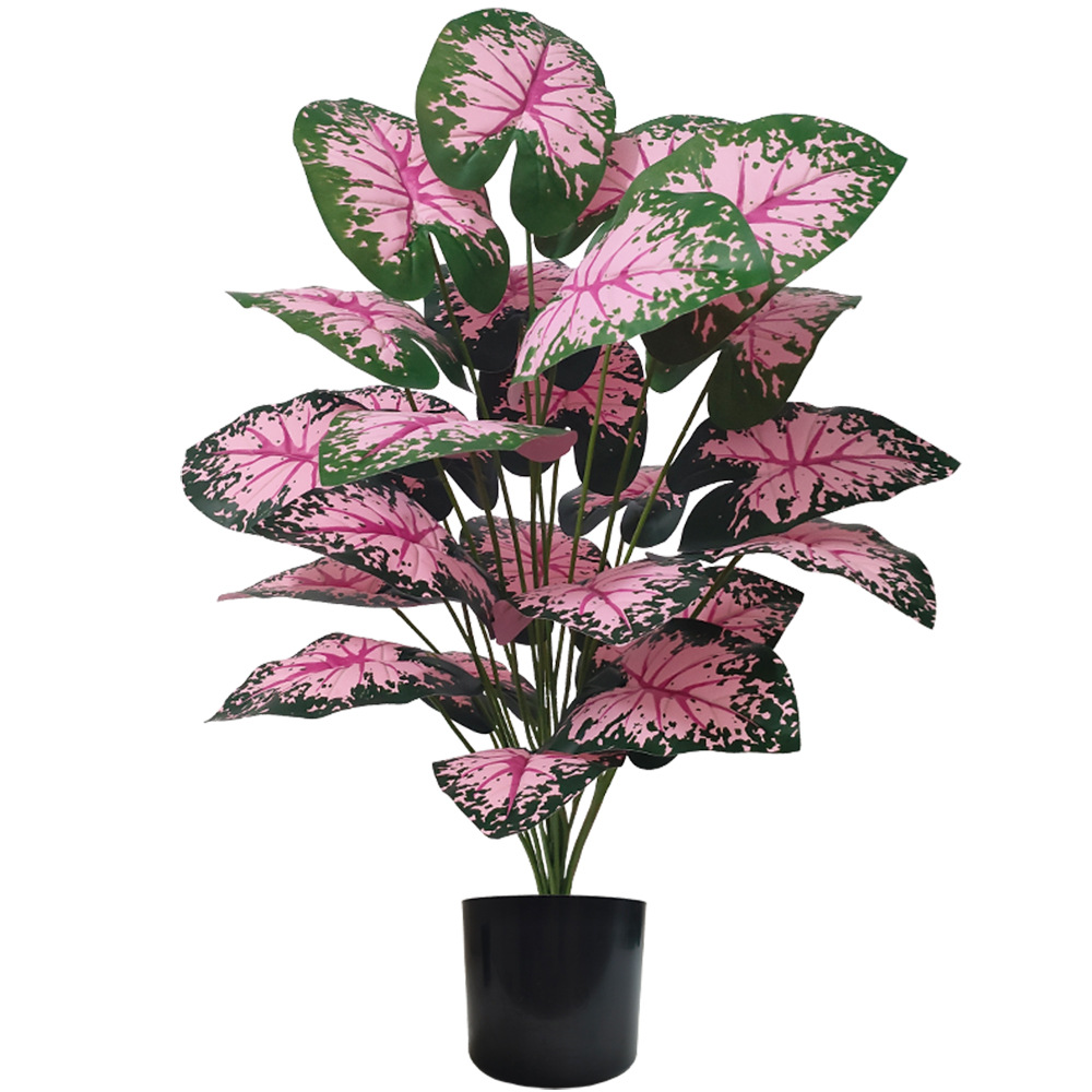 Snake Plant - Tanaman pot bunga buatan daun merah