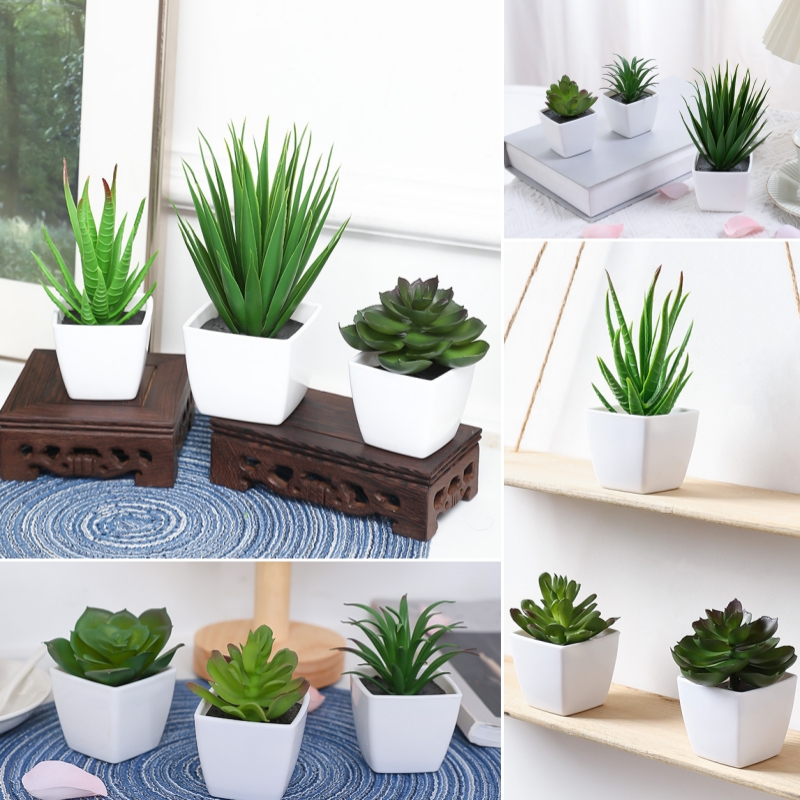 Succulent Set - (Satu set dari 3 buah) simulasi