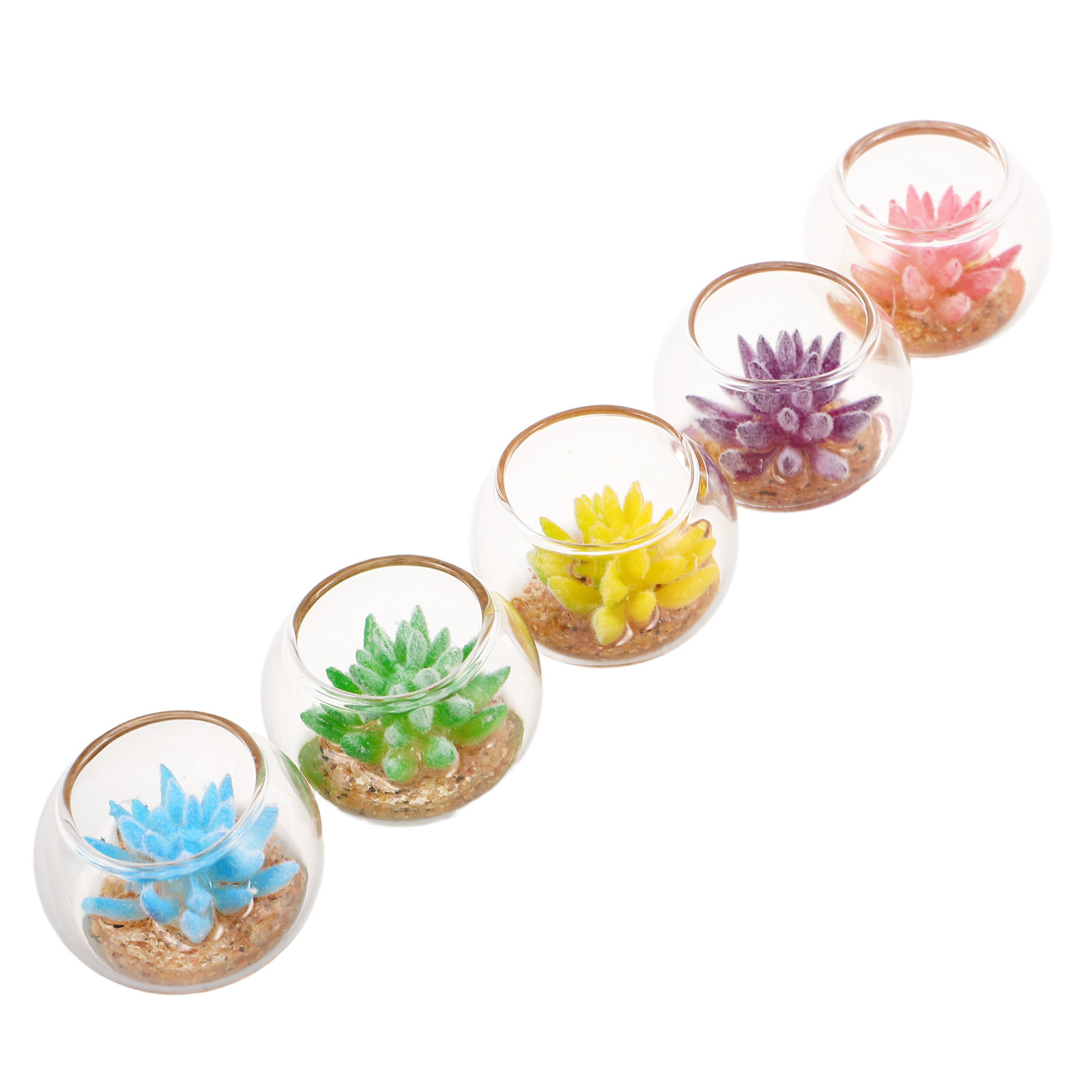 5 Buah Pot Tanaman Mini dari K - Plant Pot ulasan dan harga