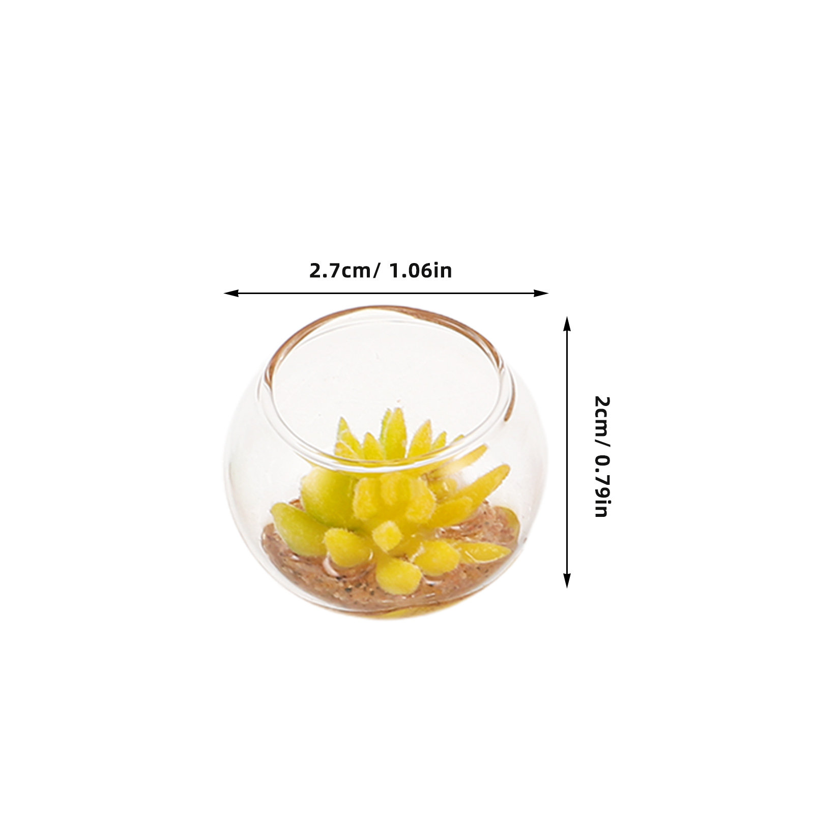 5 Buah Pot Tanaman Mini dari K - Plant Pot ulasan dan harga