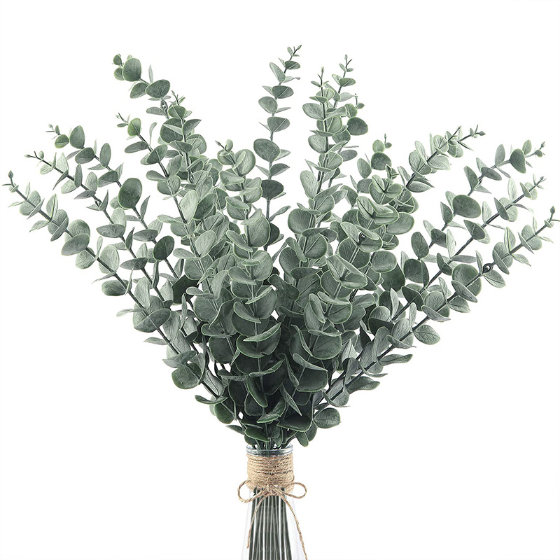 20 buah batang kayu putih buat - Fiddle Leaf Fig ulasan dan harga