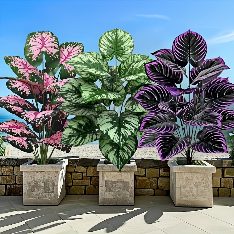 3 Buah 60Cm Set Tanaman Hijau  - Fiddle Leaf Fig ulasan dan harga