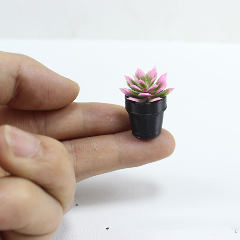 8 Buah Tanaman Pot Miniatur Pl - Succulent Set ulasan dan harga