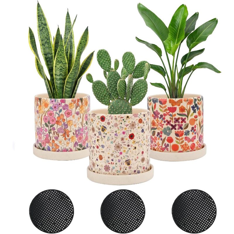 3 Buah Pot Keramik Motif Bunga - Snake Plant Ceramic ulasan dan harga