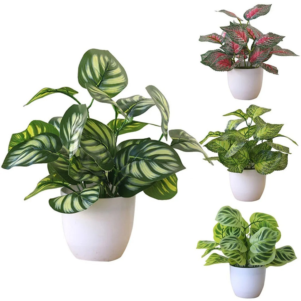 1 Buah Pot Tanaman Dedaunan Bu - Snake Plant ulasan dan harga