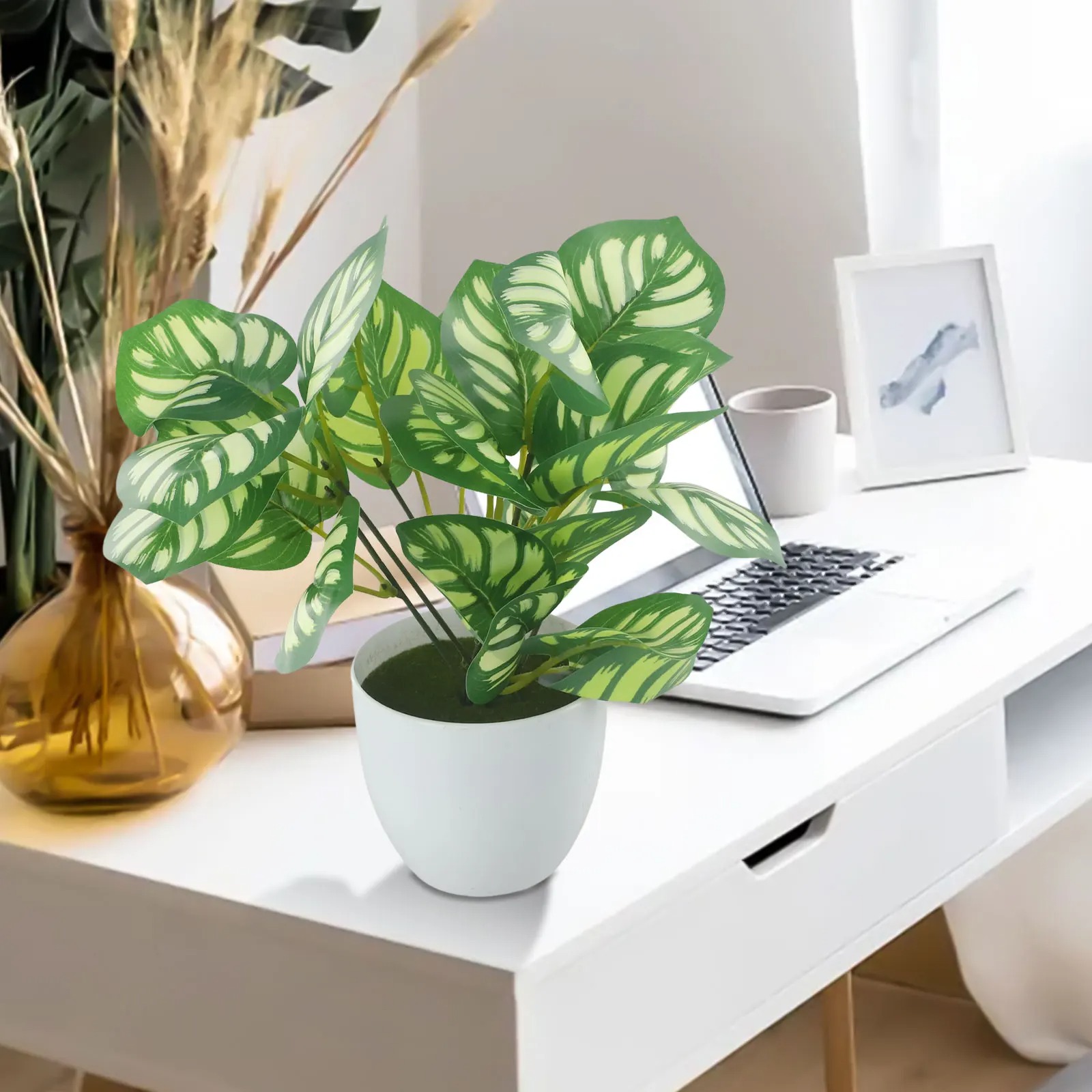 1 Buah Pot Tanaman Dedaunan Bu - Snake Plant ulasan dan harga